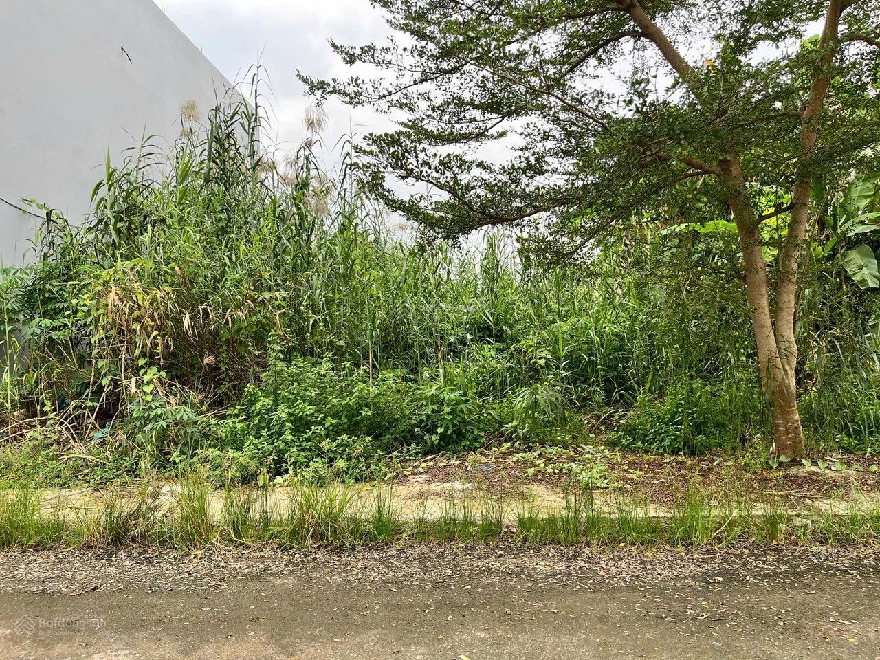 Bán nền thổ cư ĐS13 Tây Đô Ecopark gần chung cư đang xây, gần bệnh viện số 10, cách TL925 chỉ 180m