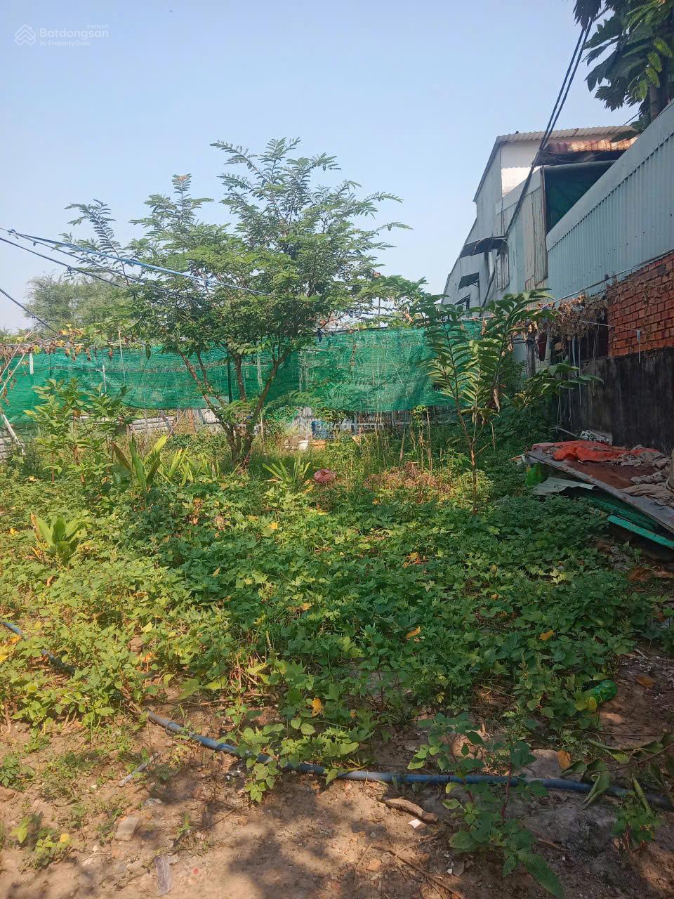 Chủ cần bán ngay lô đất giá rẻ cực rẻ 1/ngắn Võ Văn Vân, Vĩnh Lộc B, Bình Chánh Chủ cần bán ngay lô đất giá rẻ cực rẻ 1/ngắn Võ Văn Vân, Vĩnh Lộc B, Bình Chánh