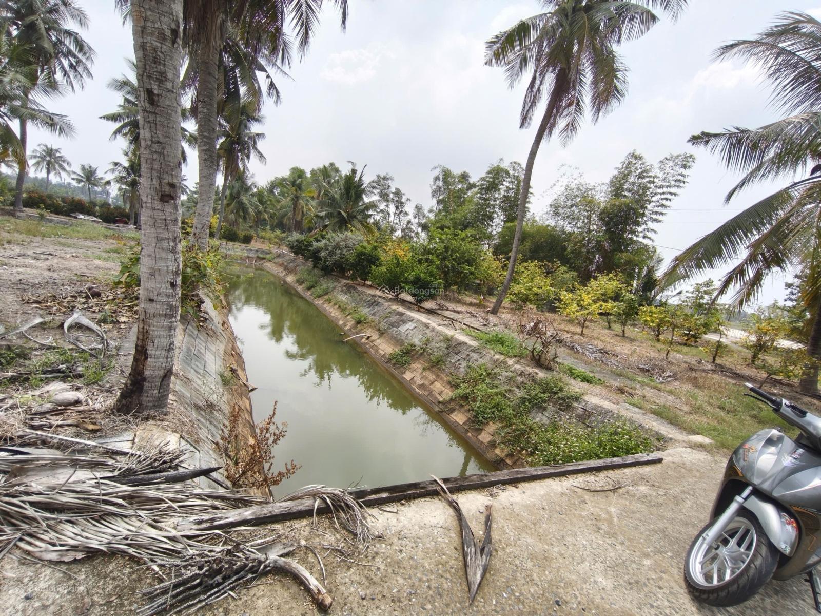 Bán nhà vườn 9000m cây lâu năm có 300m thổ cư xã Tân Nhựt, Bình Chánh