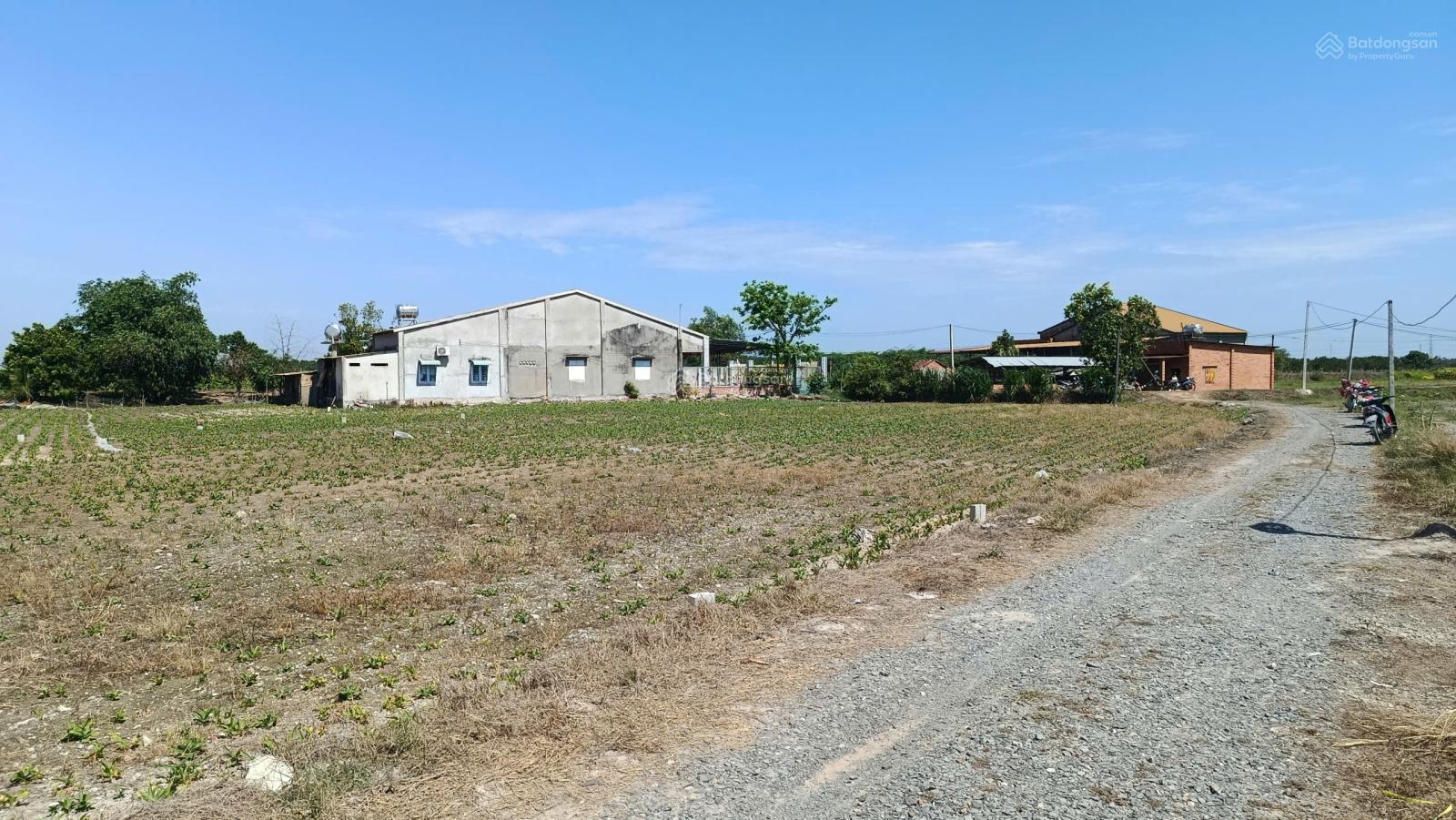 5x33m full thổ, đường thông. 300tr. Đất Tây Ninh giá rẻ