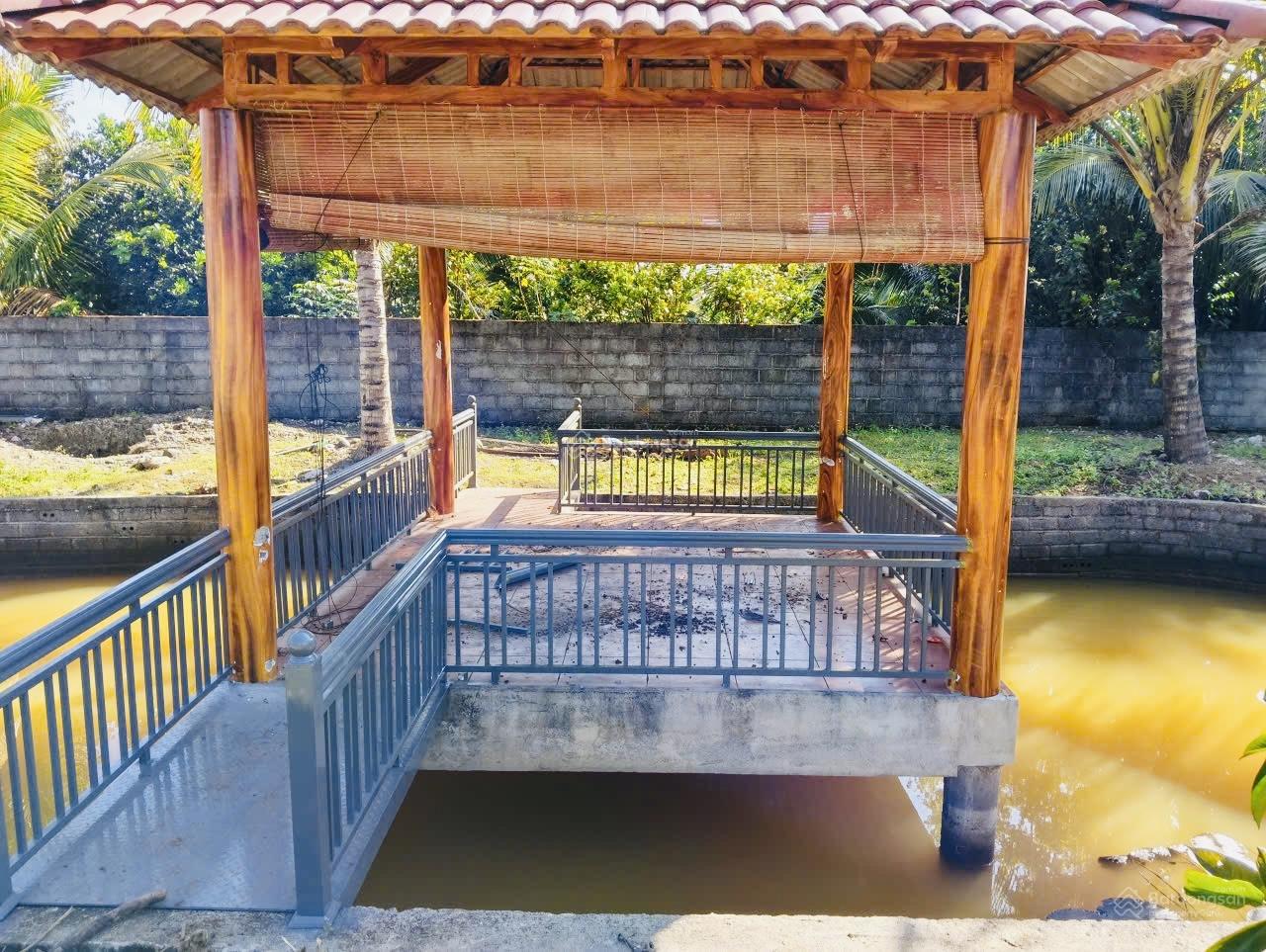 3,7 tỷ cho 1200m2 sẵn 400m2 TC, hồ cảnh quan, cây ăn trái, đất nghỉ dưỡng cách quốc lộ chỉ 1km 3,7 tỷ cho 1200m2 sẵn 400m2 TC, hồ cảnh quan, cây ăn trái, đất nghỉ dưỡng cách quốc lộ chỉ 1km