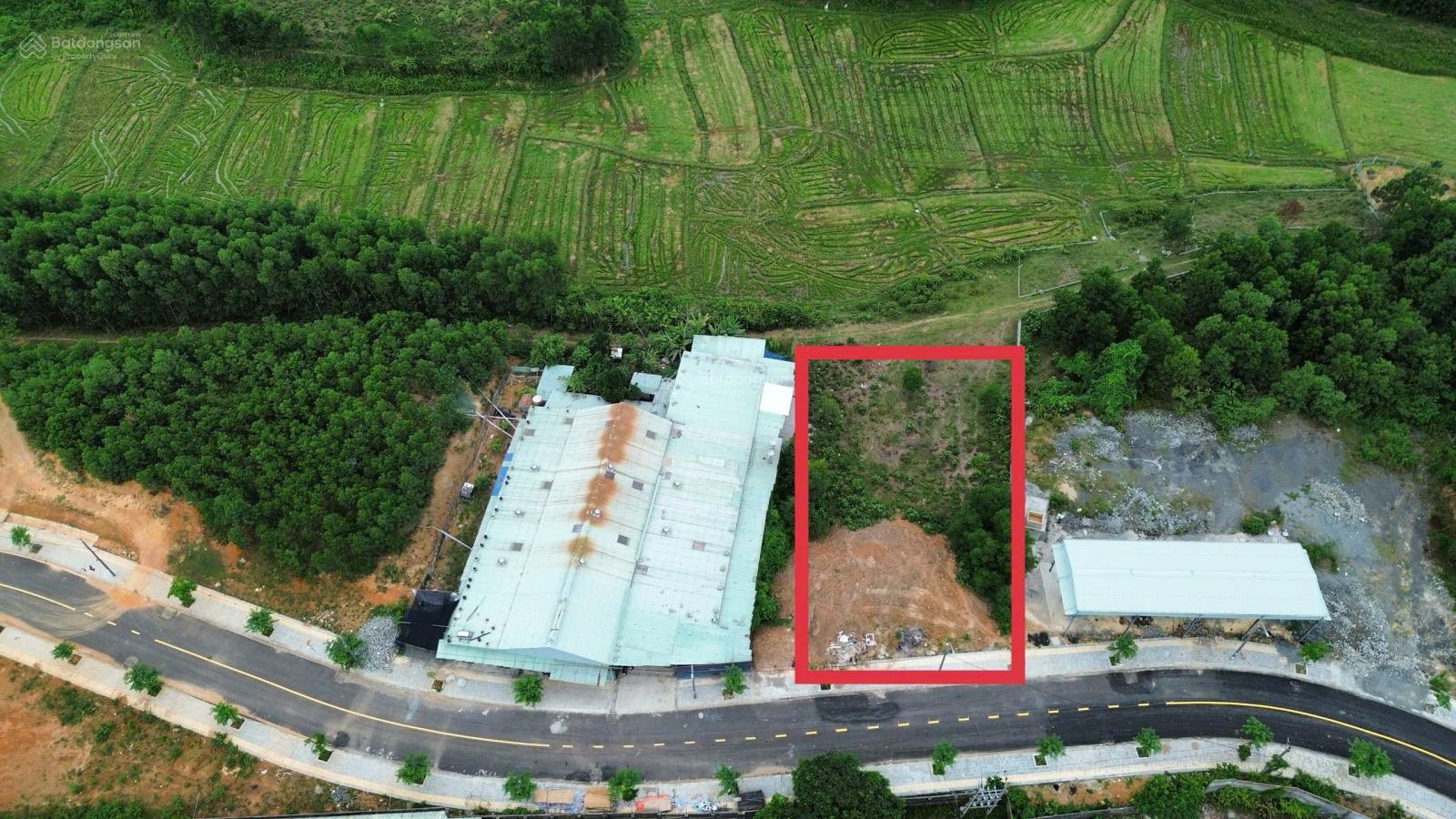 Đất trồng cây lâu năm xã Hòa Ninh, 1290m2 đường nhựa 7,5m 2 mặt tiền gần dân cư