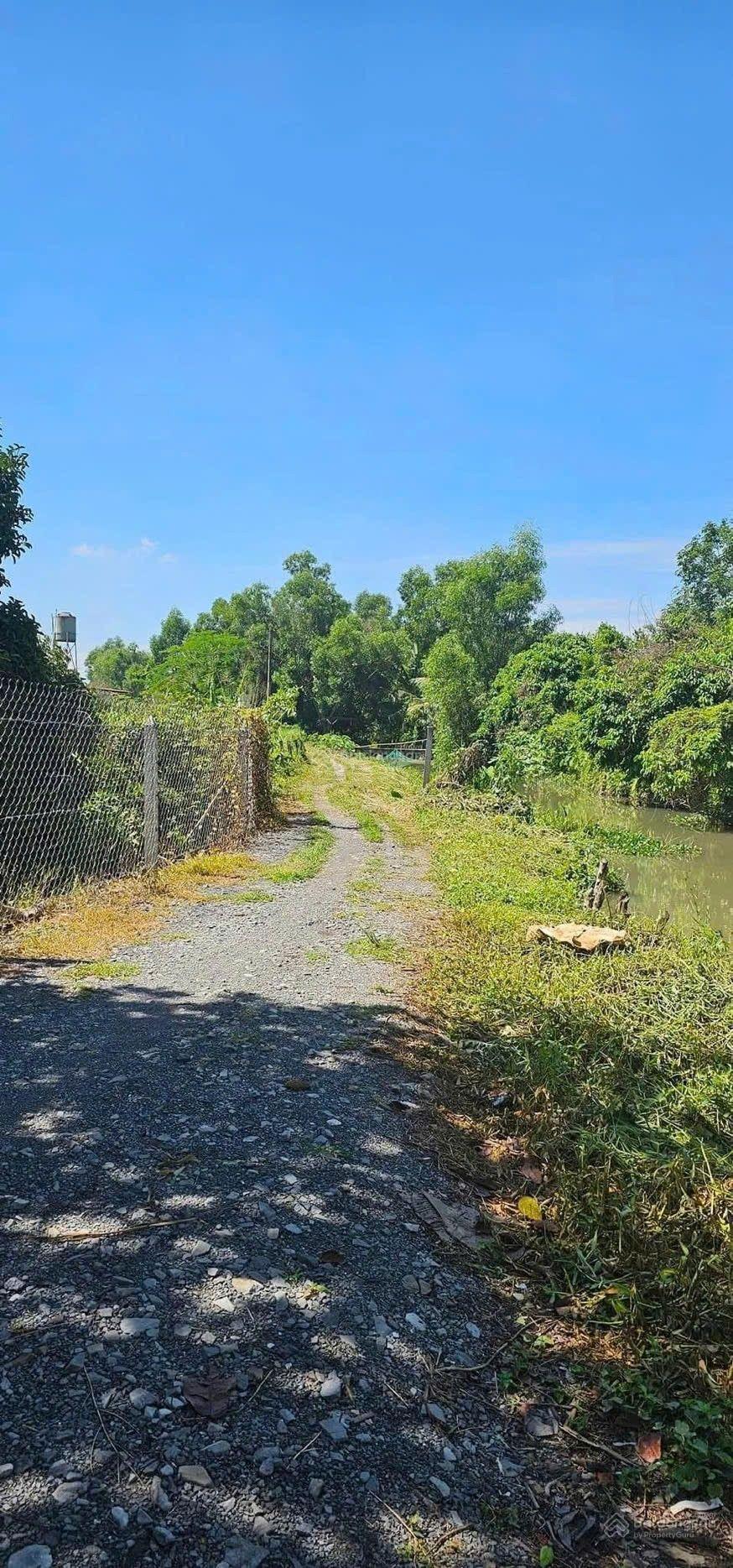 Bán gấp: Đất vườn 1 sẹc Huỳnh Thị Hiếu, đường xe tải tới đất, gần ngay khu dân, xung quanh to