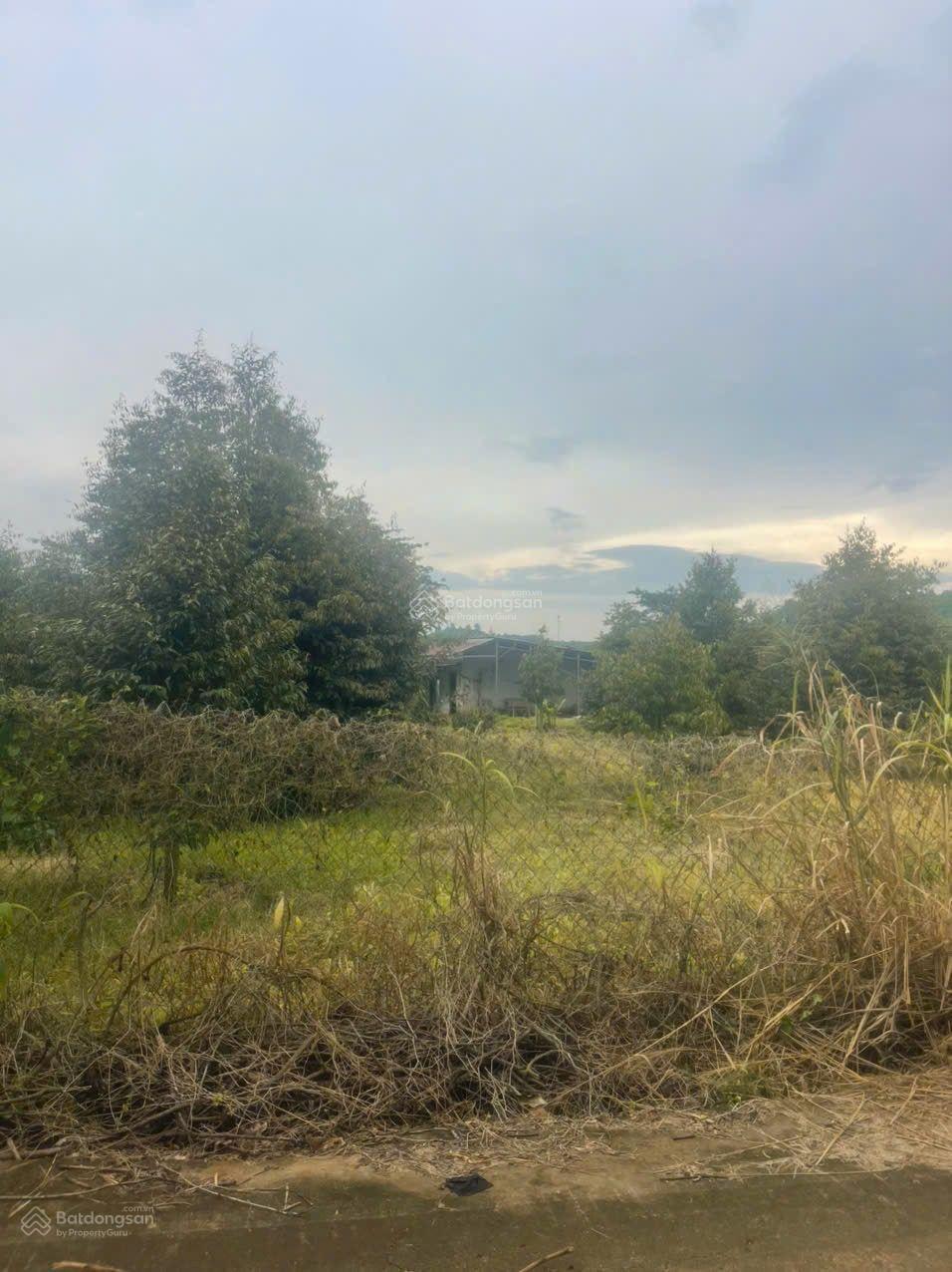 Chính chủ gấp bán đất tại khu phố Tân Thủy, 2,35 tỷ TL mạnh, 724 m2, hàng hiếm tại Long Khánh