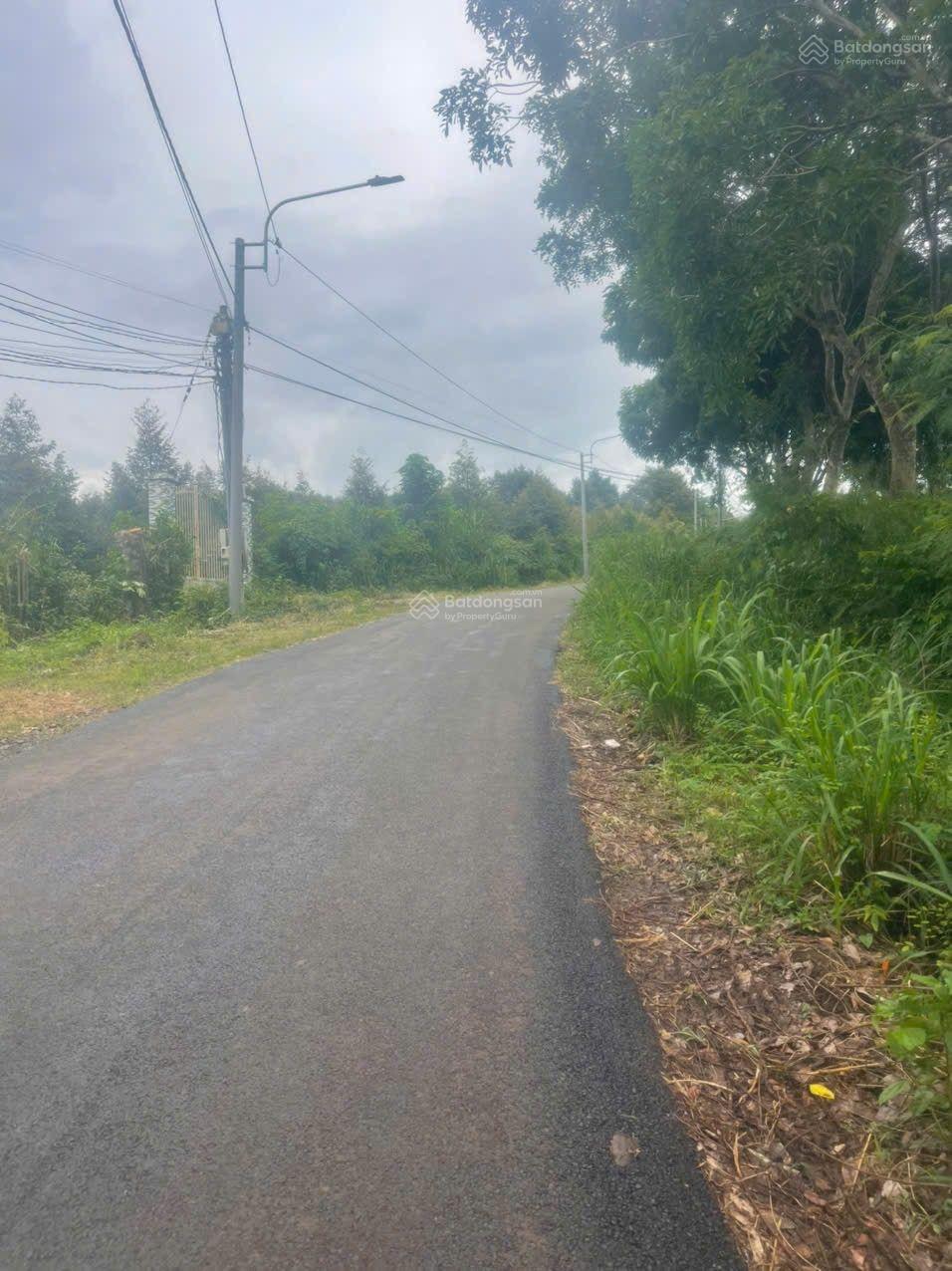 Chính chủ gấp bán đất tại khu phố Tân Thủy, 2,35 tỷ TL mạnh, 724 m2, hàng hiếm tại Long Khánh