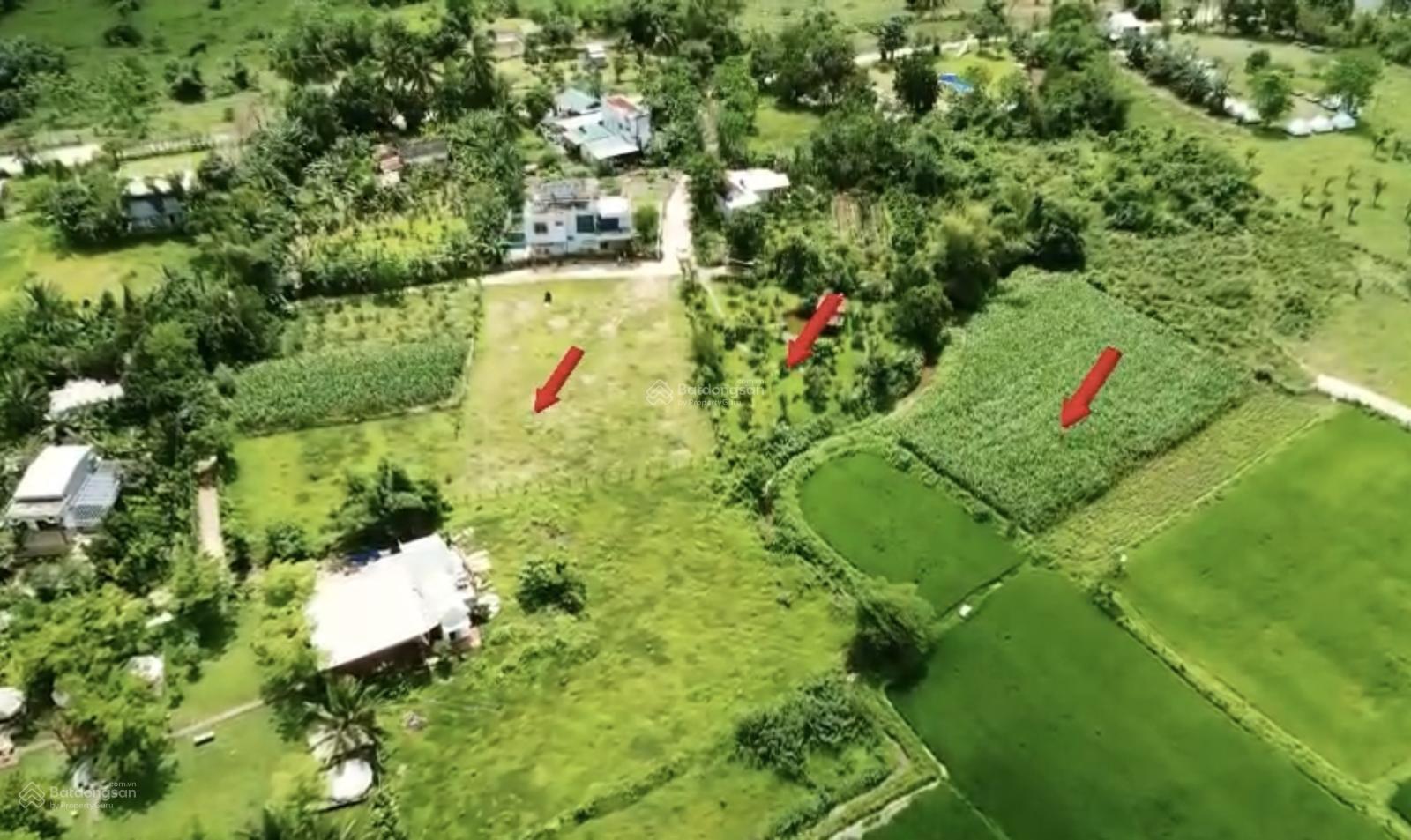 Cơ hội sở hữu 5000m2 đất sinh thái Hoà Bắc | 600m2 đất ở hiếm có