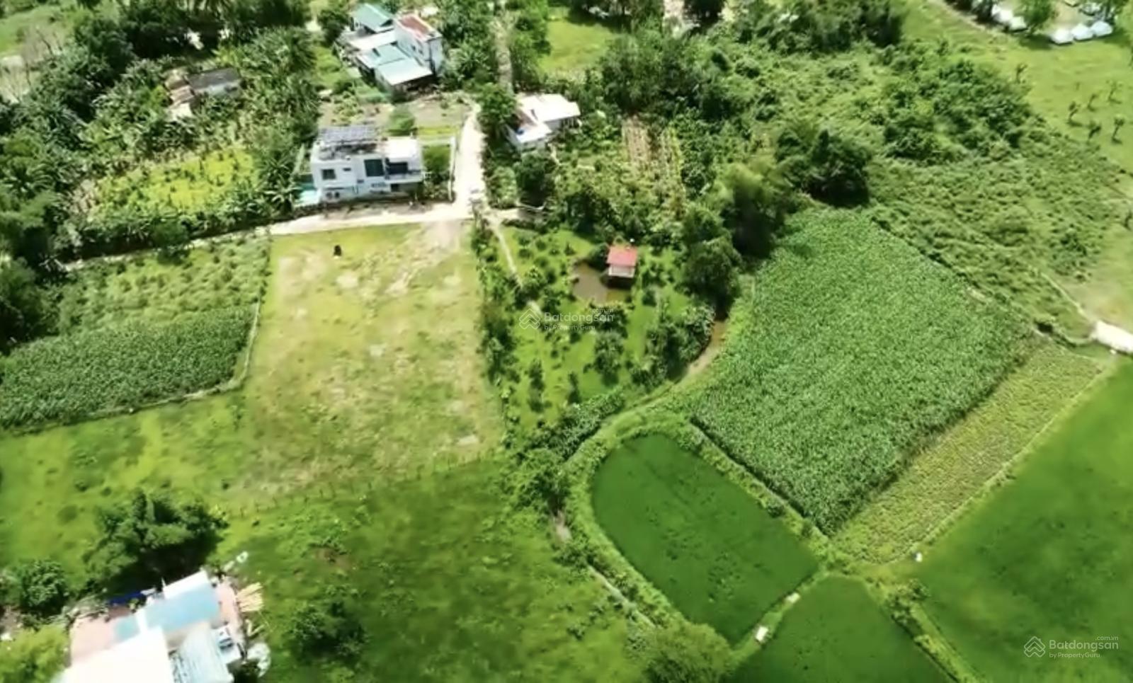 Cơ hội sở hữu 5000m2 đất sinh thái Hoà Bắc | 600m2 đất ở hiếm có