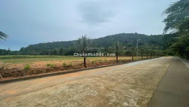 Đất nền biệt thự thổ cư 501.5m² tại khu phố Búng Gội Cửa Dương - sổ đỏ hiện đường