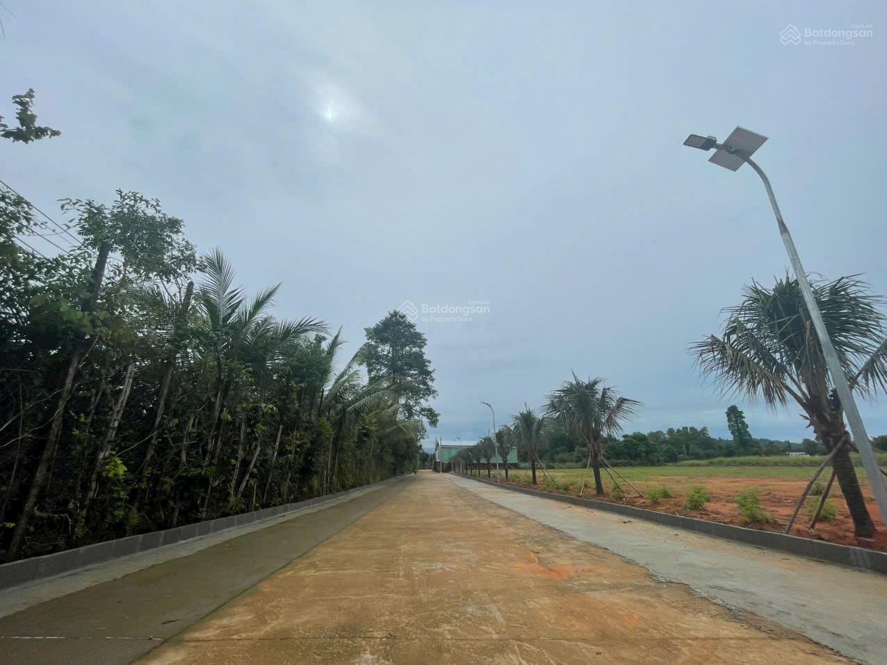 Đất nền biệt thự thổ cư 501.5m² tại khu phố Búng Gội Cửa Dương - sổ đỏ hiện đường