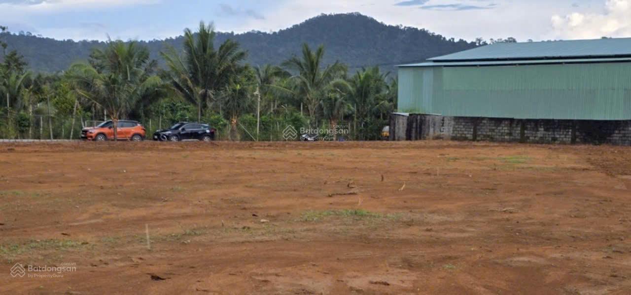 Đất nền biệt thự thổ cư 501.5m² tại khu phố Búng Gội Cửa Dương - sổ đỏ hiện đường