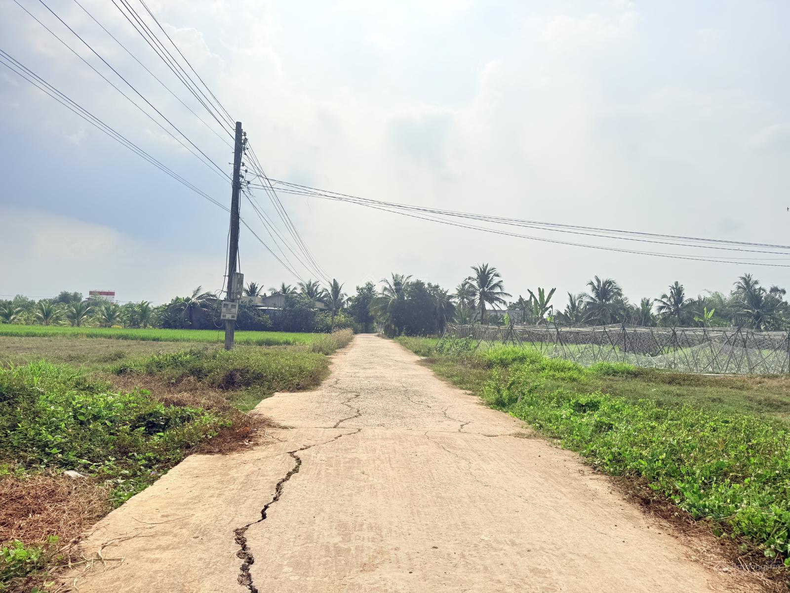 Bán đất mặt tiền đường đan xe 16 chỗ vivu - tại Bà Phổ Bình Thạnh Thủ Thừa LA, cách nhựa 817