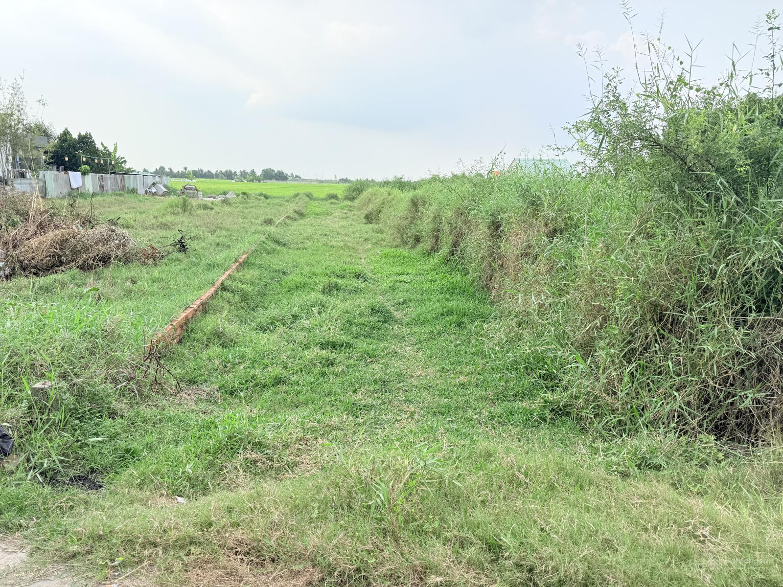 275m2 thổ cư Bình Cang 2, Thủ Thừa, Long An. Khu dân cư hiện hữu, an ninh, đông đúc