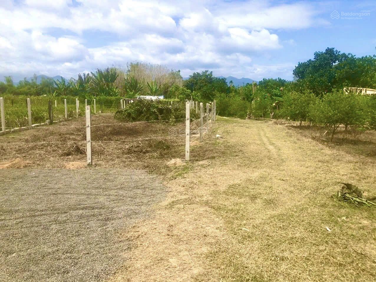 Bán đất Bình Lộc - Diên Khánh! Chỉ 4tr5/m2 - full thổ cư