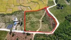 Đất trồng cây lâu năm view cánh đồng đồi núi rất đẹp 5900n2 ngang rộng 90m ở Hòa Sơn