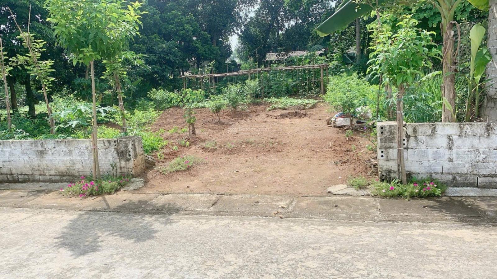 Tôi có lô đất vị trí trung tâm của xã yên bài muốn bán