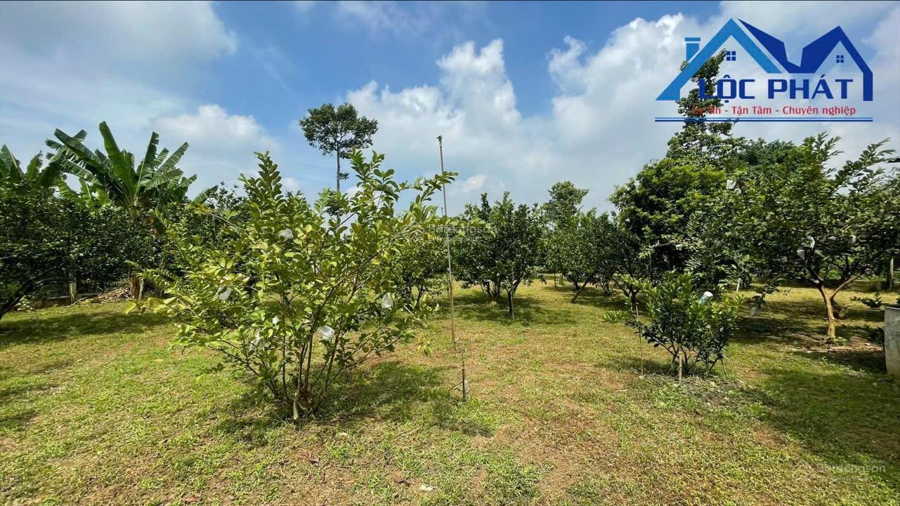 Bán đất vườn 2000m2 view sông xã Tân Bình, Vĩnh Cửu Đồng Nai. Giá 12 tỷ