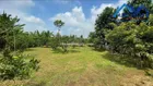 Bán đất vườn 2000m2 view sông xã Tân Bình, Vĩnh Cửu Đồng Nai. Giá 12 tỷ