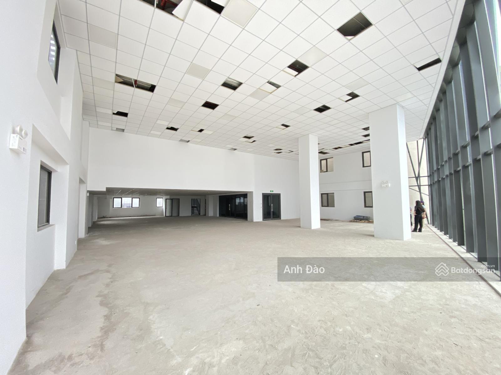 TÒA NHÀ MẶT TIỀN PHAN XÍCH LONG NGANG 15M CỰC HIẾM, HẦM + THANG MÁY TÒA NHÀ MẶT TIỀN PHAN XÍCH LONG NGANG 15M CỰC HIẾM, HẦM + THANG MÁY