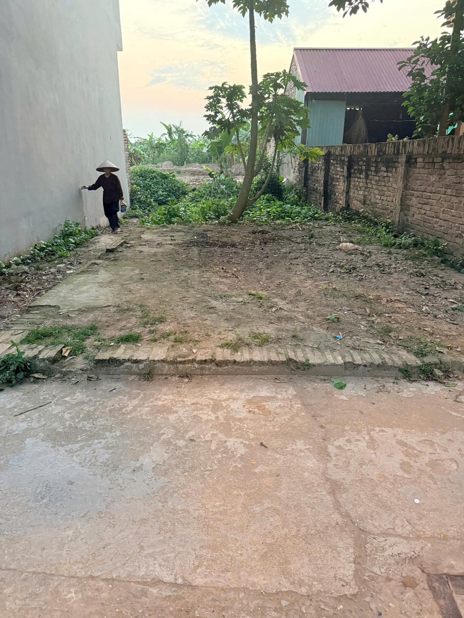 Bán đất phân lô Cổ Bi, Gia Lâm, 72m², ô tô thoái mái, gần Vinhomes Ocean Park, giá tôt nhất