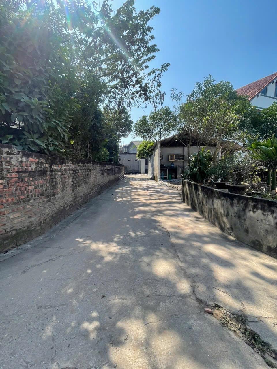 Chính chủ gửi bán lô góc tài chính chỉ 2,5 tỷ tại Đan Kim, Liên Nghĩa ngay cạnh sân vận động PVF