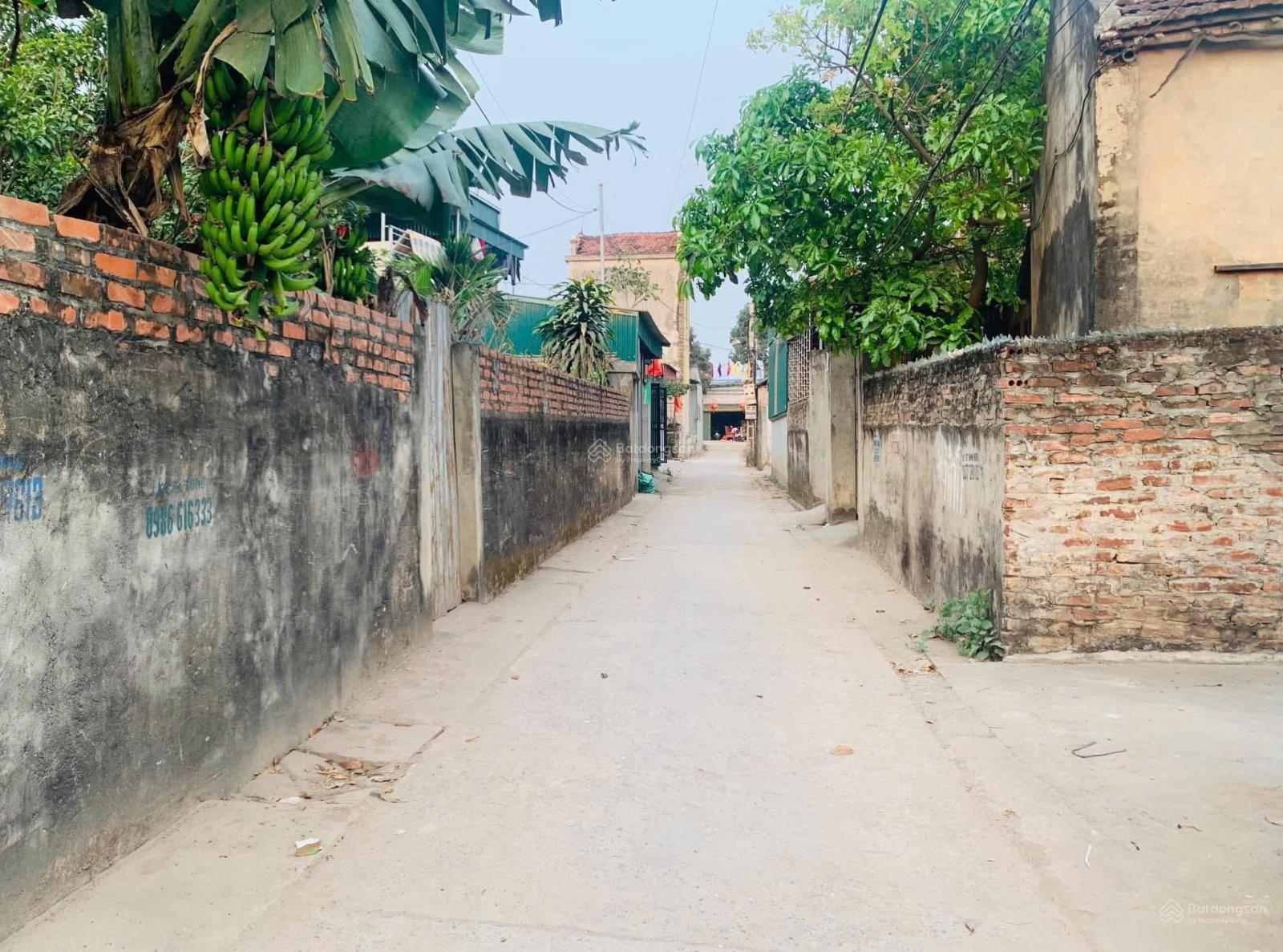 Bán nhanh 58,6m2 Đan Kim, ngay sát khu đô thị Aluvia, đường ô tô vào thoải mái, vị trí trung tâm