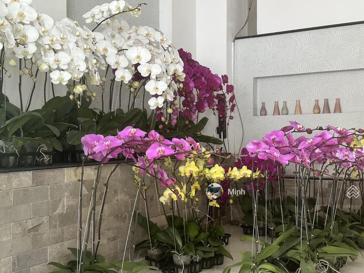 Bán Góc 2MT Xây Cao Đường Nhánh Quóc Hương - Xuân Thủy, Thảo Điền Q2 - 5.5x20m - 33 tỷ