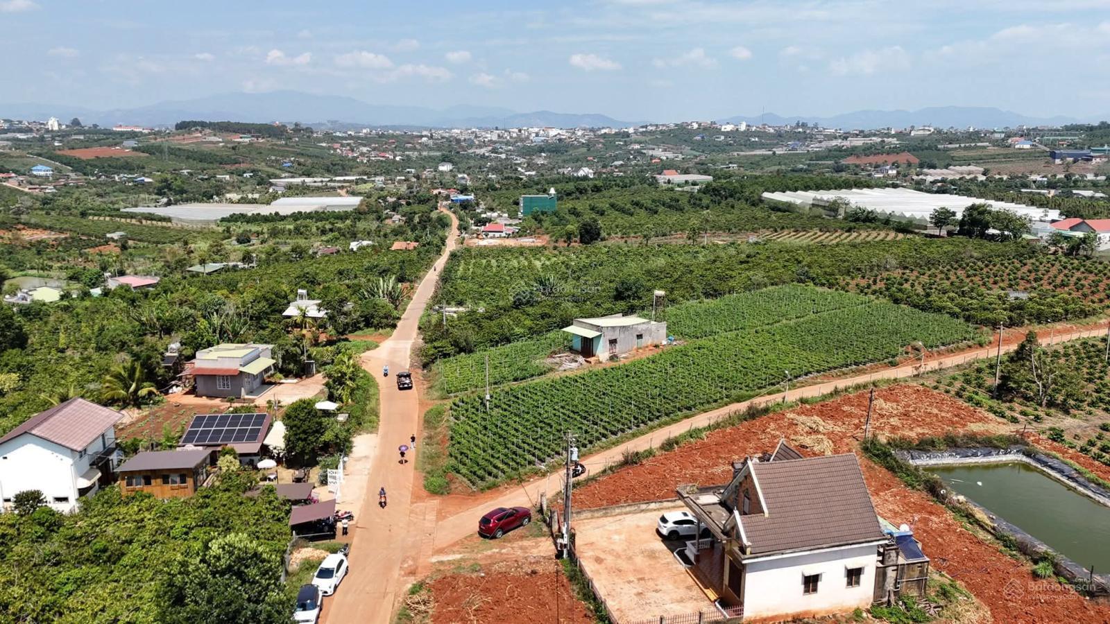 HÓT BÁN ĐẤT ĐẸP MẶT TIỀN HUỲNH THÚC KHÁNG TÂN HÀ -LÂM HÀ -LÂM ĐỒNG