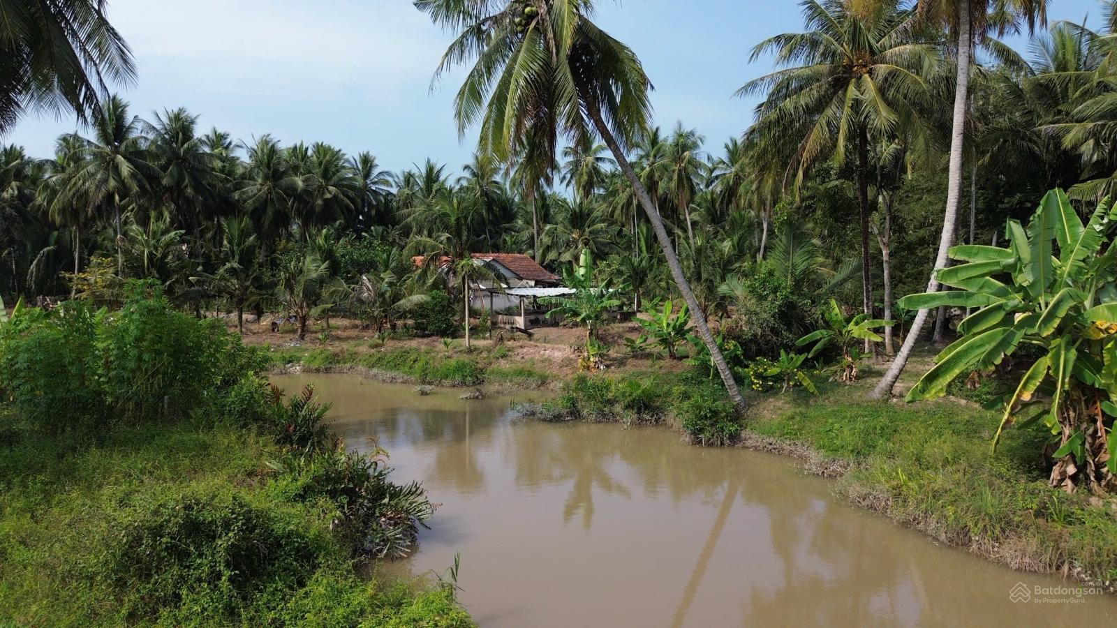 Đất thổ cư giáp rạch giá rẻ Tân Phú Đông 170m chỉ 250triệu, sổ sẵn Đất thổ cư giáp rạch giá rẻ Tân Phú Đông 170m chỉ 250triệu, sổ sẵn