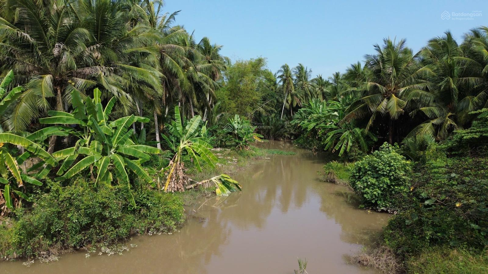 Đất thổ cư giáp rạch giá rẻ Tân Phú Đông 170m chỉ 250triệu, sổ sẵn Đất thổ cư giáp rạch giá rẻ Tân Phú Đông 170m chỉ 250triệu, sổ sẵn