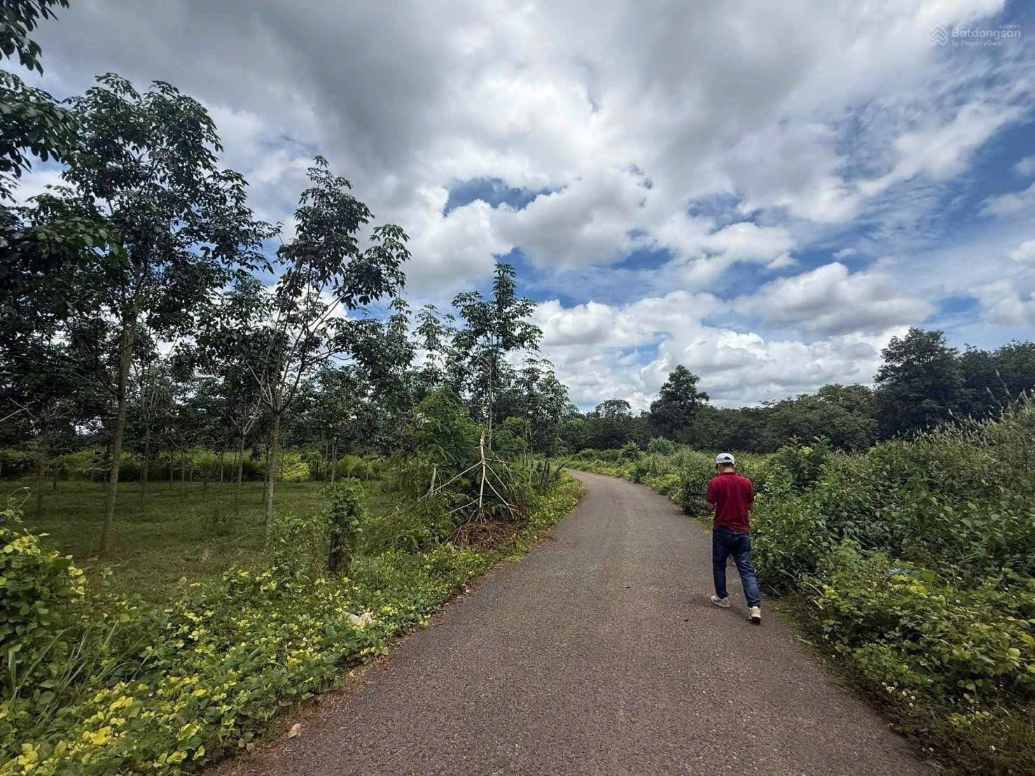 Công ty Đấu giá Hợp danh Trực tuyến Việt Nam (VNOA) thông báo đấu giá tài sản