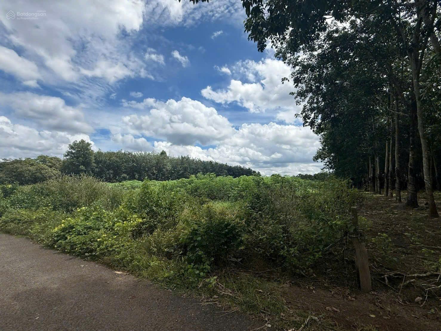 Công ty Đấu giá Hợp danh Trực tuyến Việt Nam (VNOA) thông báo đấu giá tài sản Công ty Đấu giá Hợp danh Trực tuyến Việt Nam (VNOA) thông báo đấu giá tài sản