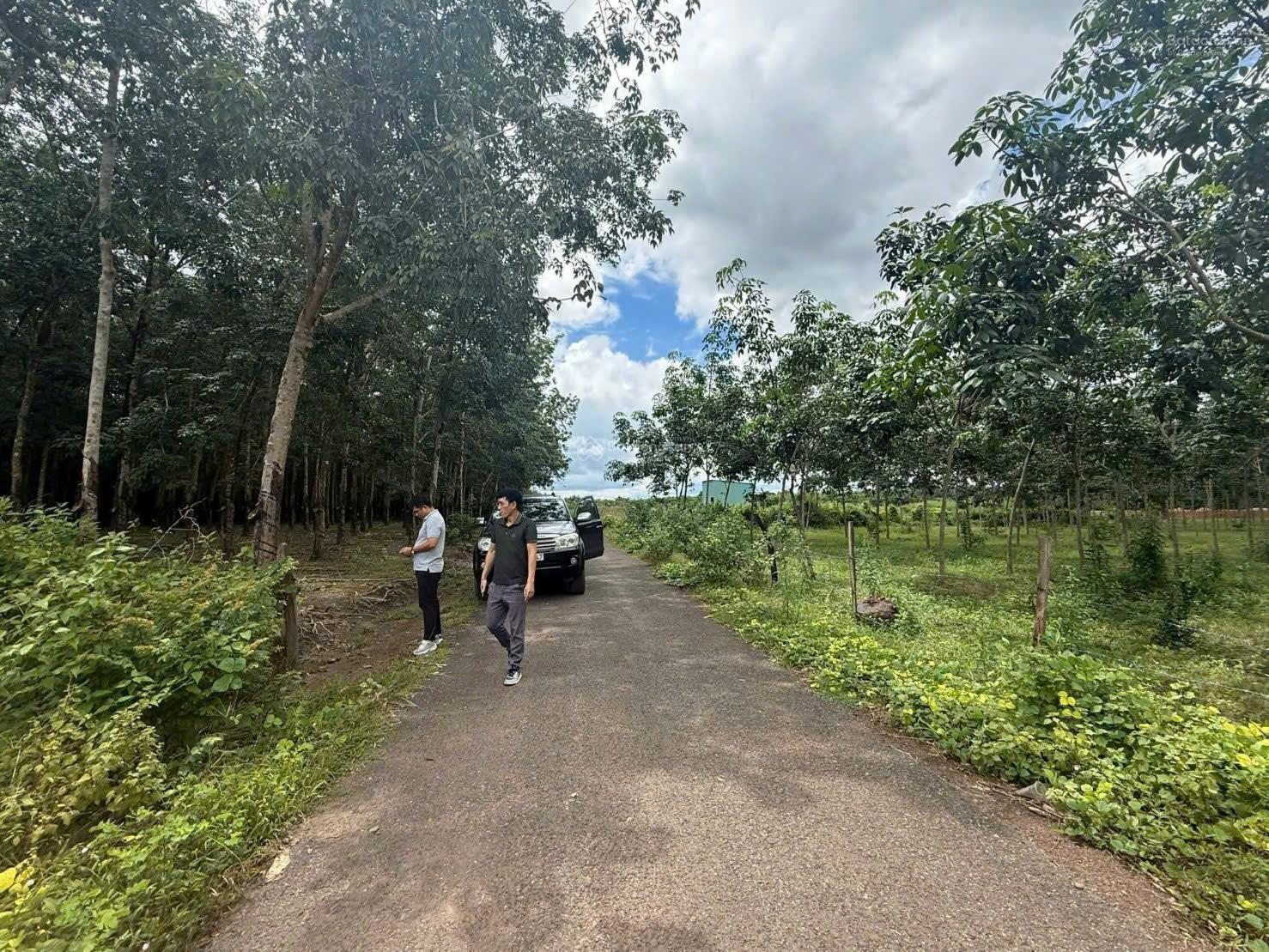 Công ty Đấu giá Hợp danh Trực tuyến Việt Nam (VNOA) thông báo đấu giá tài sản Công ty Đấu giá Hợp danh Trực tuyến Việt Nam (VNOA) thông báo đấu giá tài sản