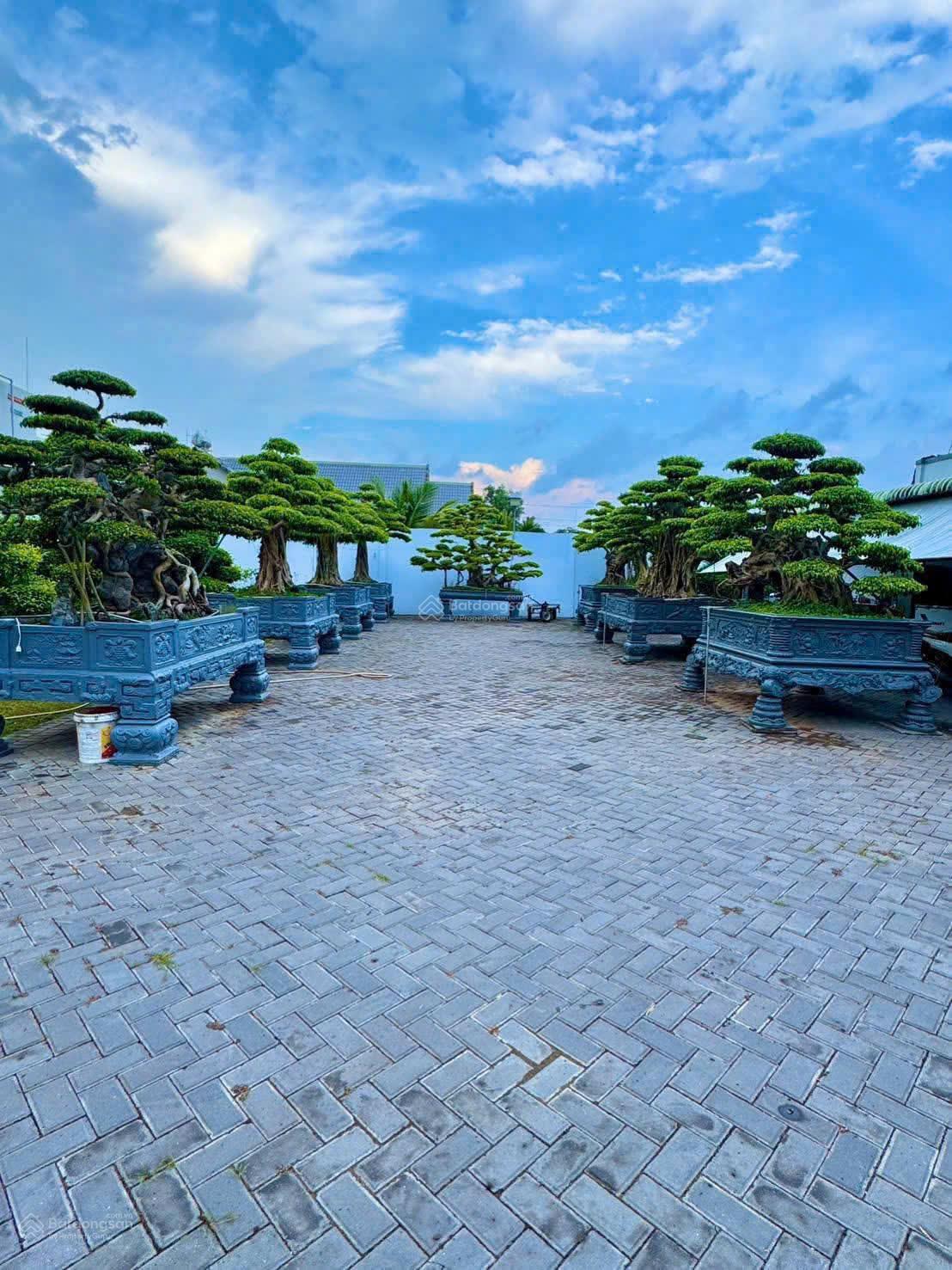 Biệt thự 4493 m2 mặt tiền Nguyễn Văn Nhung, P Phước Hậu, Vĩnh Long