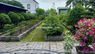 Biệt thự 4493 m2 mặt tiền Nguyễn Văn Nhung, P Phước Hậu, Vĩnh Long