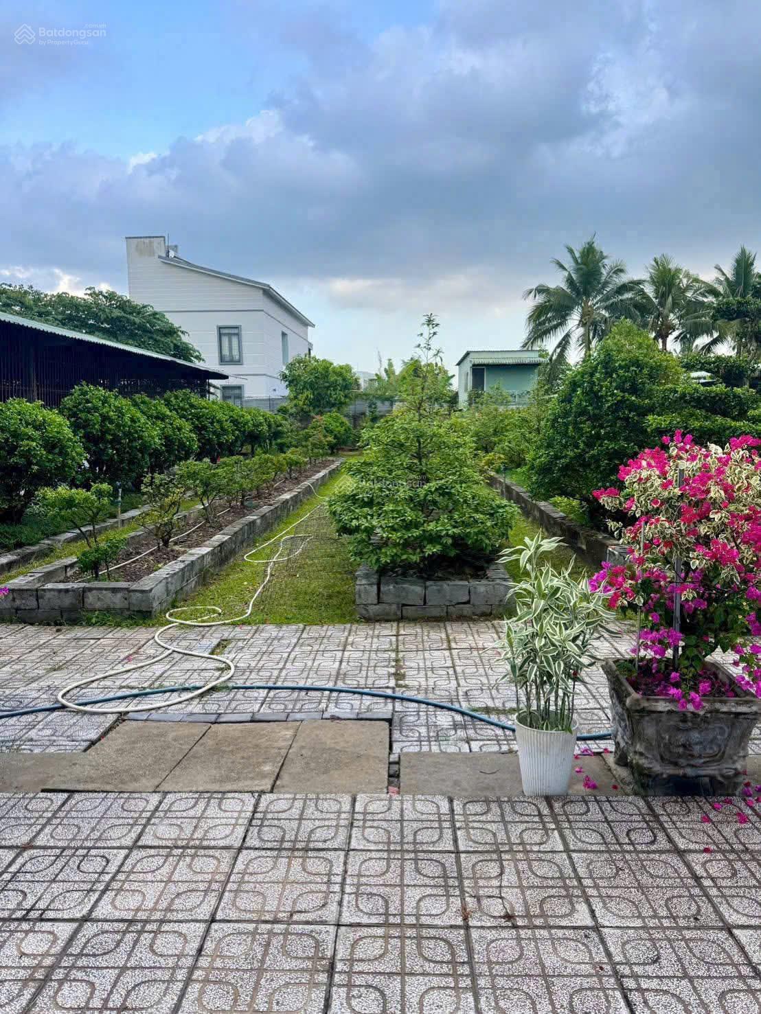 Biệt thự 4493 m2 mặt tiền Nguyễn Văn Nhung, P Phước Hậu, Vĩnh Long