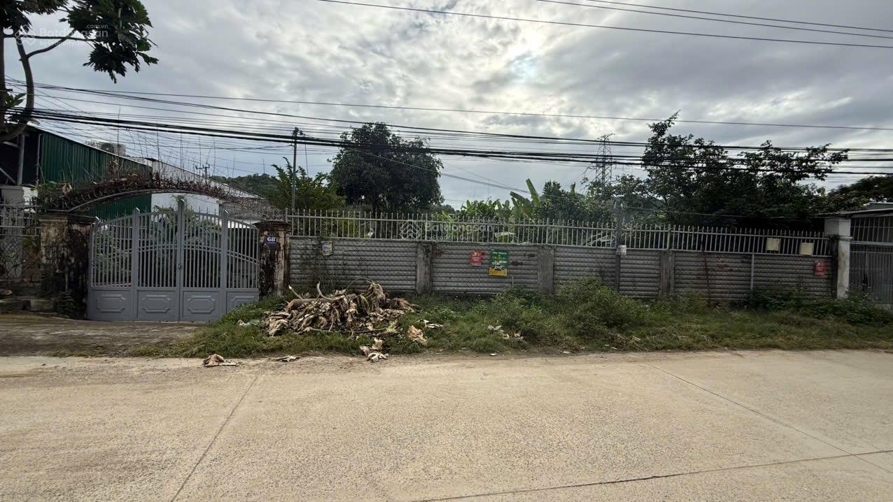 Bán đất mặt tiền Mai Thị Dõng Nha Trang 392,2m ngang 15,5m tách được 3 lô