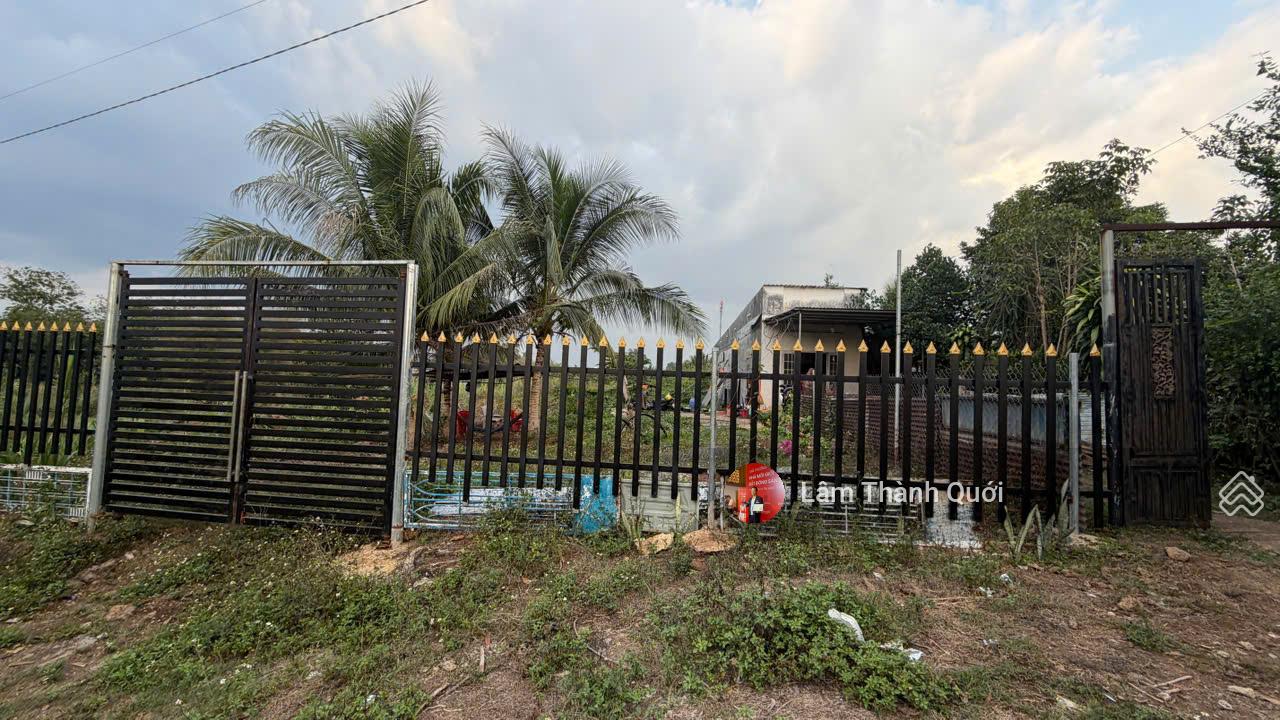 Bán nhà đường Điểu Xiển, Bầu Trâm, Long Khánh, Đồng Nai, 2600m2, 3.1 tỷ