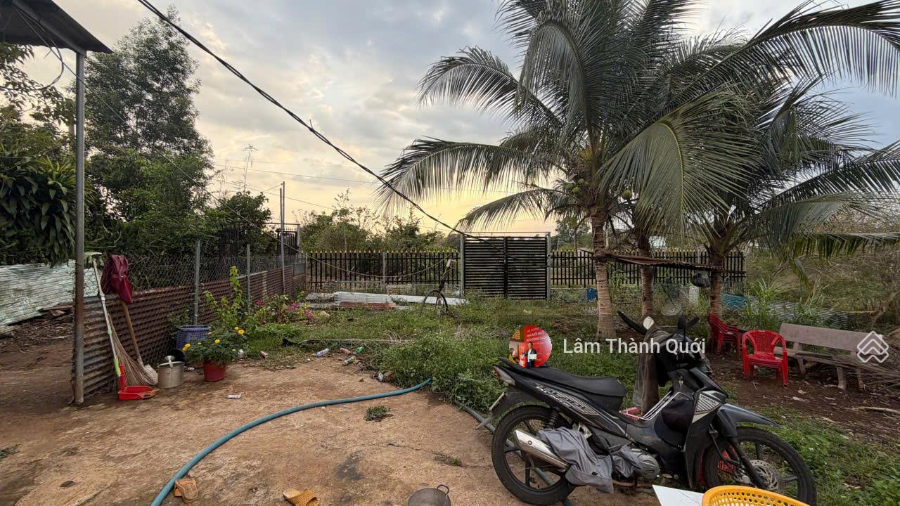 Bán nhà đường Điểu Xiển, Bầu Trâm, Long Khánh, Đồng Nai, 2600m2, 3.1 tỷ