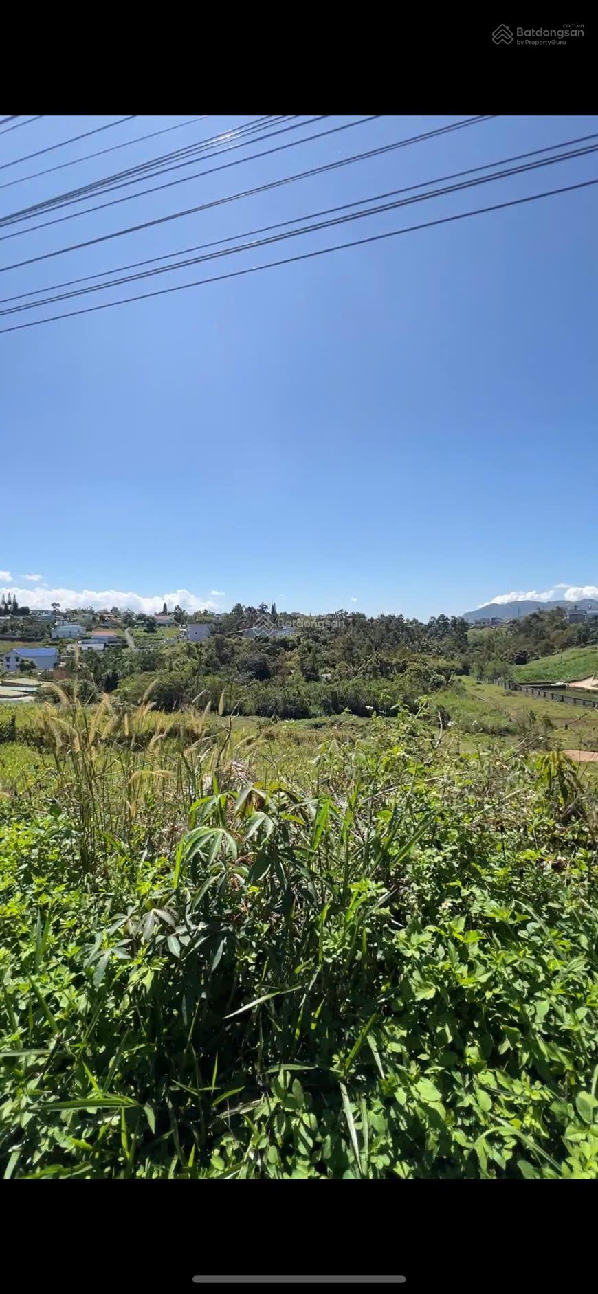 BÁN ĐẤT P.2 BẢO LỘC  SẴN THỔ CƯ, GIÁ TỐT