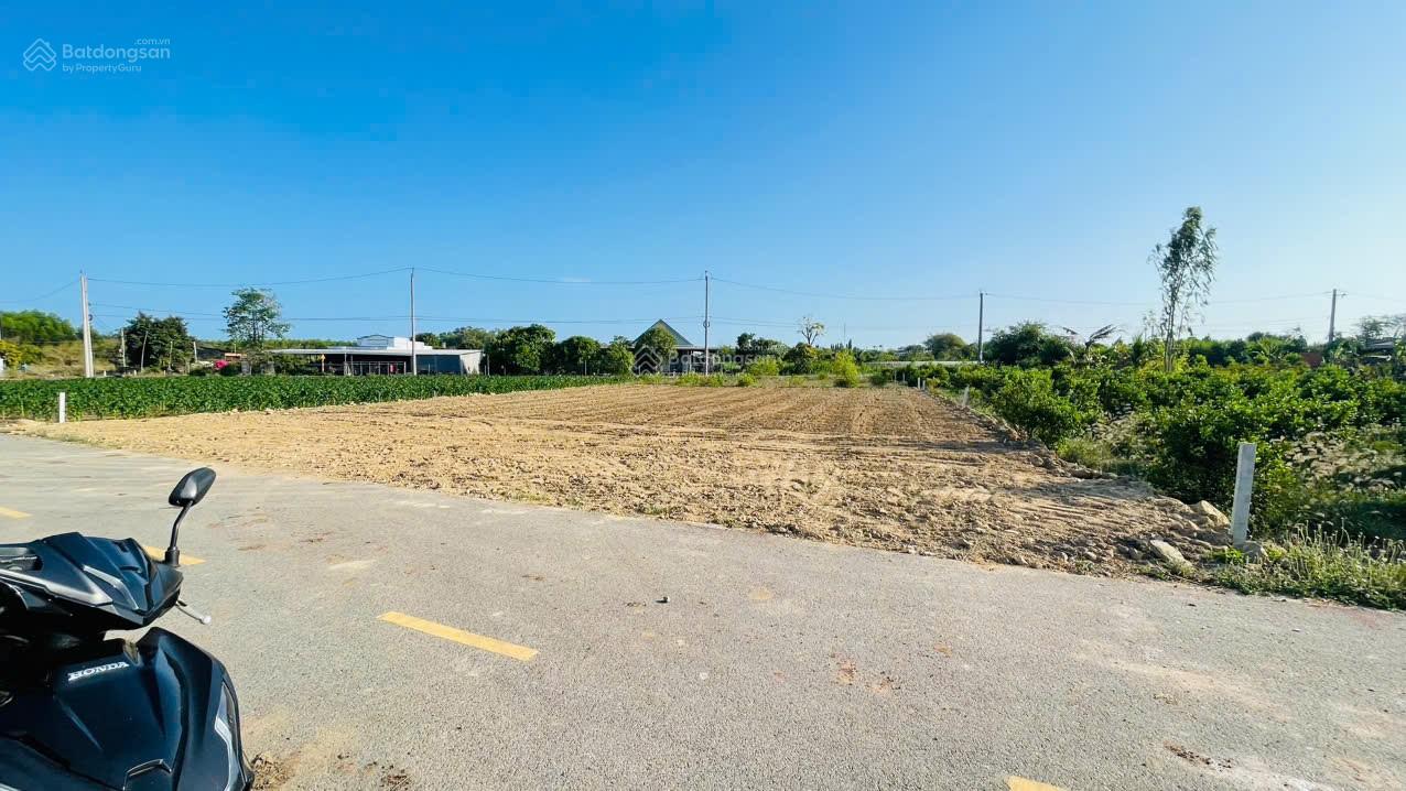 Bán lô đất đẹp 22m đường nhựa KCN Đất Đỏ xã Đất Đỏ - TP HCM. Tiềm năng kinh doanh nhà trọ, nhà vườn