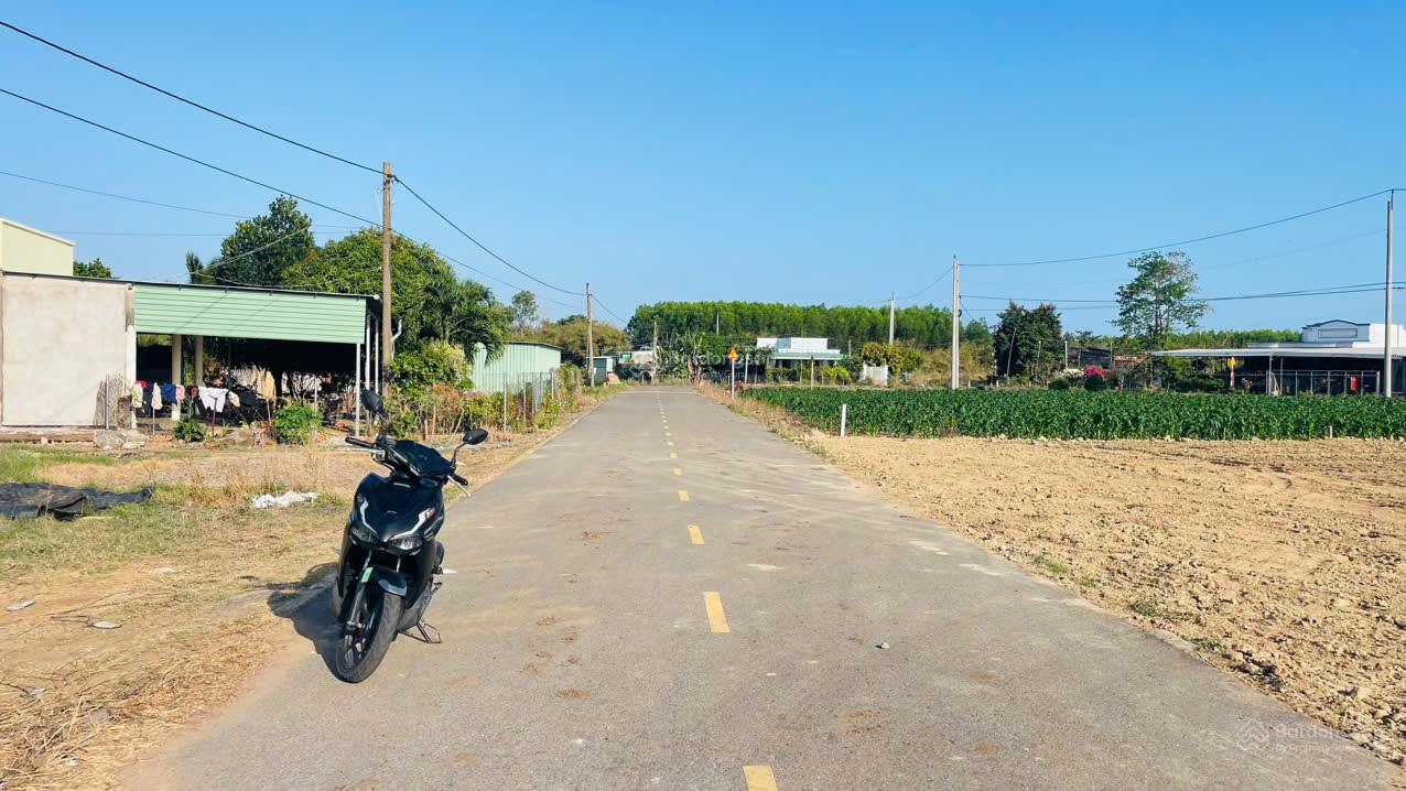 Bán lô đất đẹp 22m đường nhựa KCN Đất Đỏ xã Đất Đỏ - TP HCM. Tiềm năng kinh doanh nhà trọ, nhà vườn Bán lô đất đẹp 22m đường nhựa KCN Đất Đỏ xã Đất Đỏ - TP HCM. Tiềm năng kinh doanh nhà trọ, nhà vườn