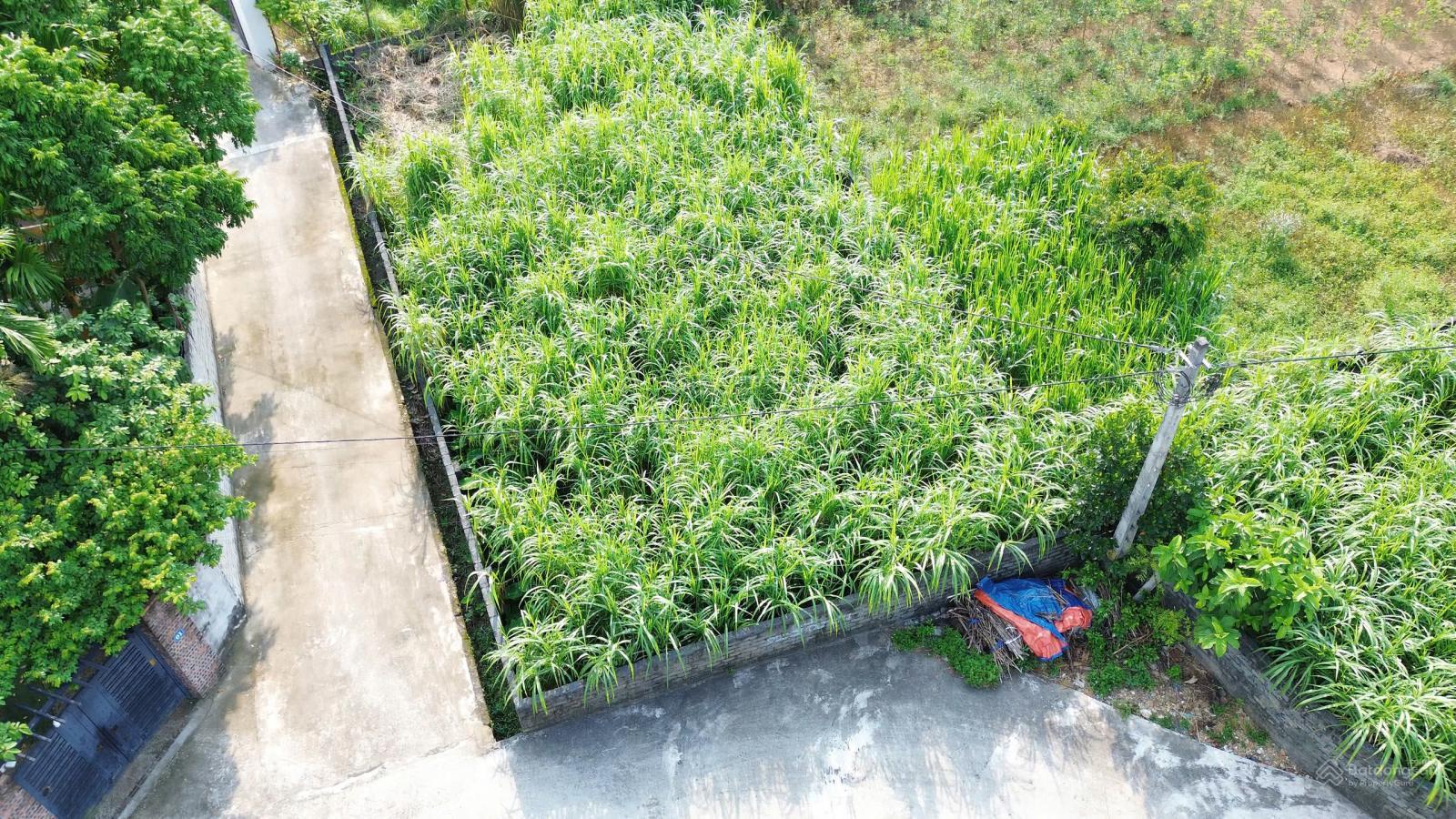 Lô góc 2 mặt tiền Vân Hòa, view núi đẹp, cách trục chính đi Khoang Xanh Paragon 30m, TT Hà Nội 40km