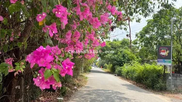 bán đất biệt thự hiệp hoà 2055m2 sổ riêng mặt tiền sông 70m