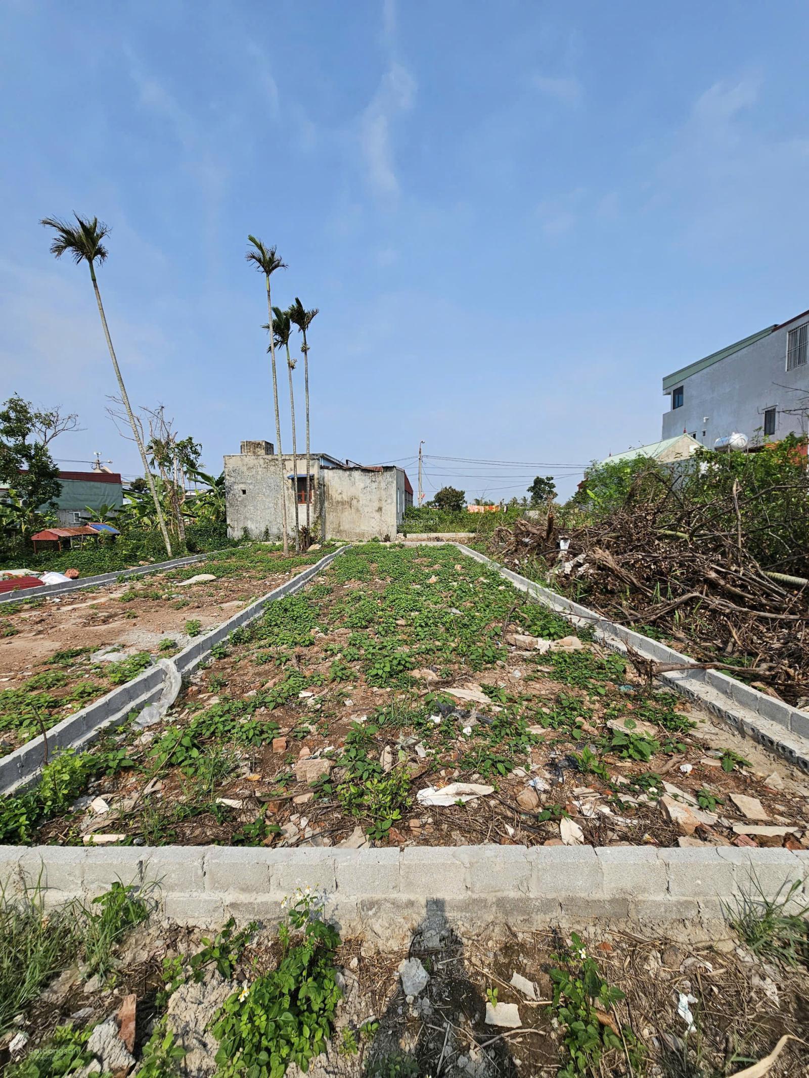 CC bán 2 lô liền nhau, khu dân cư đông đúc, đường bê tông sạch đẹp CC bán 2 lô liền nhau, khu dân cư đông đúc, đường bê tông sạch đẹp