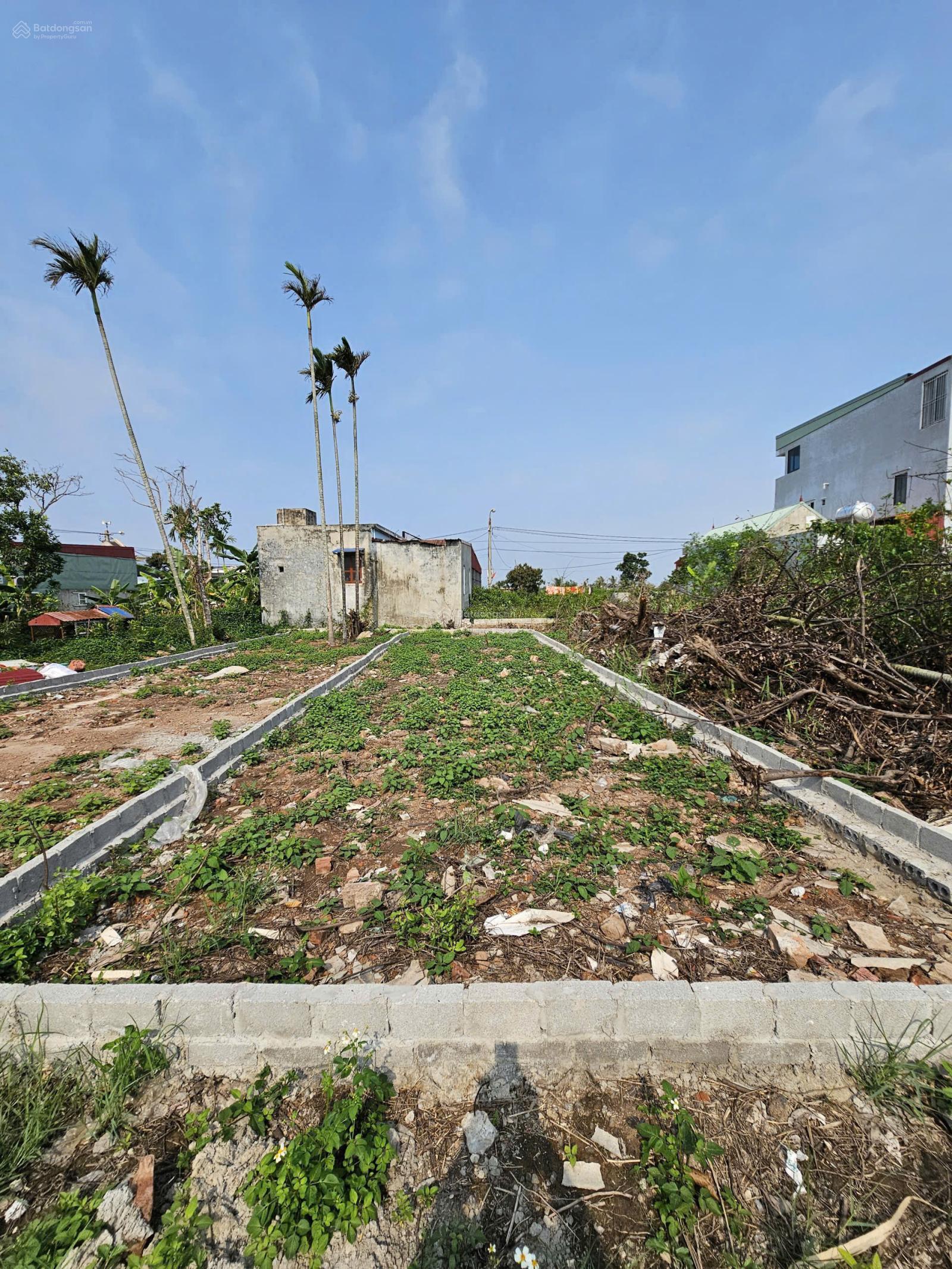 CC bán 2 lô liền nhau, khu dân cư đông đúc, đường bê tông sạch đẹp CC bán 2 lô liền nhau, khu dân cư đông đúc, đường bê tông sạch đẹp