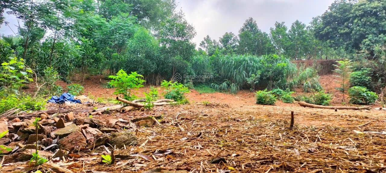 Đất nghỉ dưỡng Khánh Thượng giao thông thuận tiện-khu vực dân cư-vị trí thoáng-không gian yên bình