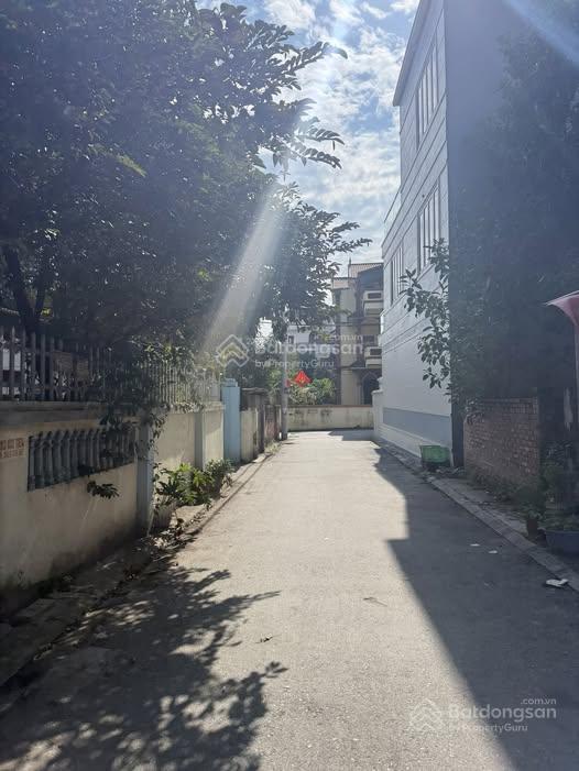 Bán 42.6m2 đất Ngô Xuân Quảng trâu Quỳ , ô tô con vào được Bán 42.6m2 đất Ngô Xuân Quảng trâu Quỳ , ô tô con vào được