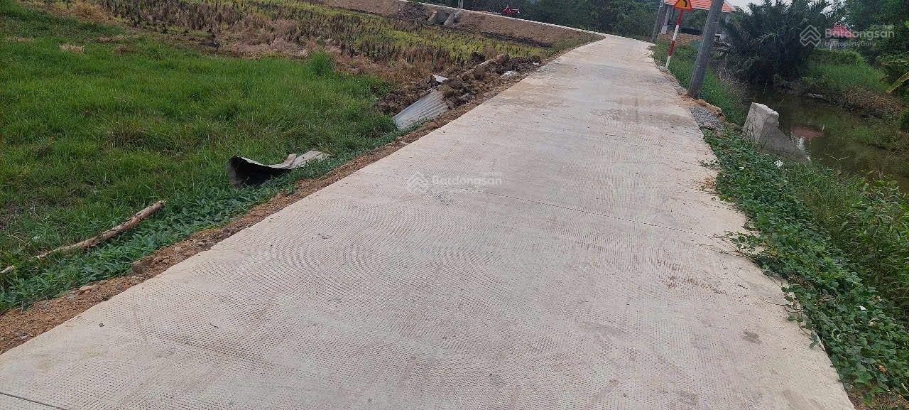 Bán lô đất nông nghiệp giá rẻ Qui Đức, Bình Chánh