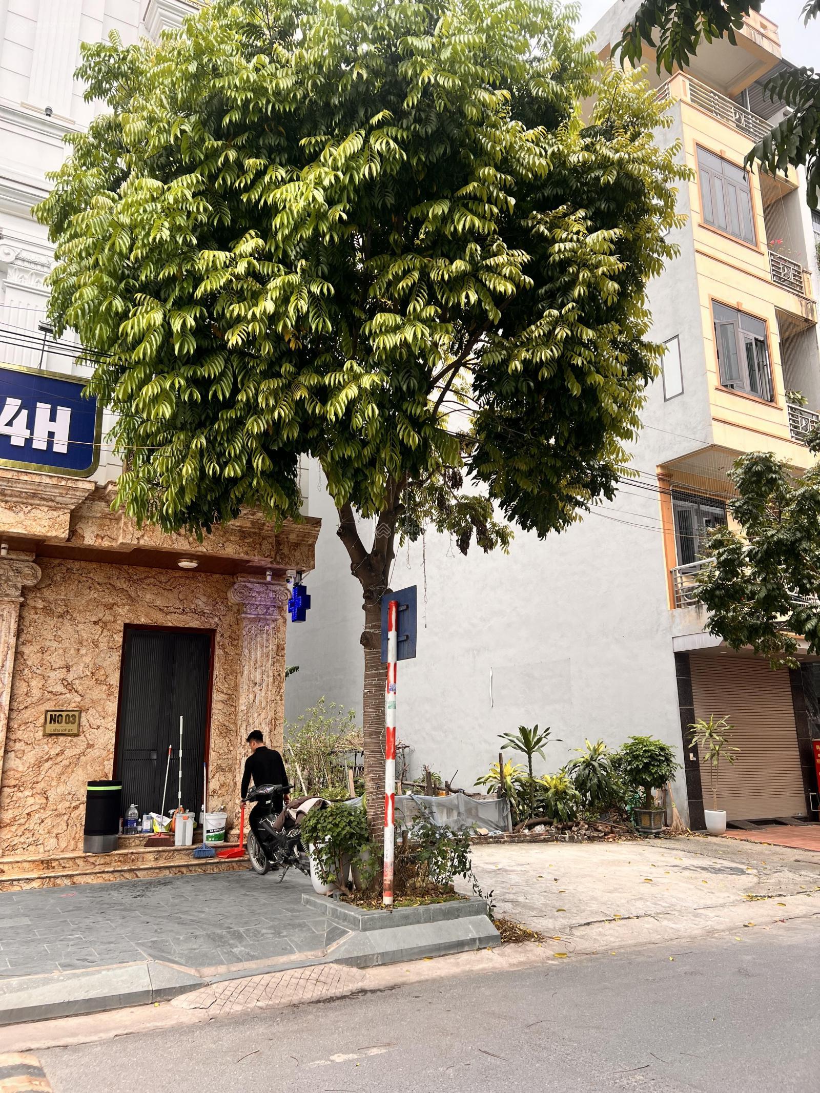 CẦN TIỀN BÁN GẤP LÔ ĐẤT HÀ ĐÔNG, GIÁ CHỈ 1,4 tỷ, ĐƯỜNG OTO VF9 TRÁNH NHAU CẦN TIỀN BÁN GẤP LÔ ĐẤT HÀ ĐÔNG, GIÁ CHỈ 1,4 tỷ, ĐƯỜNG OTO VF9 TRÁNH NHAU