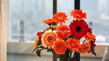 (View thẳng Hồ Tây). Em cần bán CH 76m2 gồm 2 ngủ 2wc tại Cầu Giấy Center Point, sẵn sổ đỏ. Giá tốt